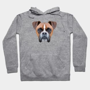 Boxer Hoodie